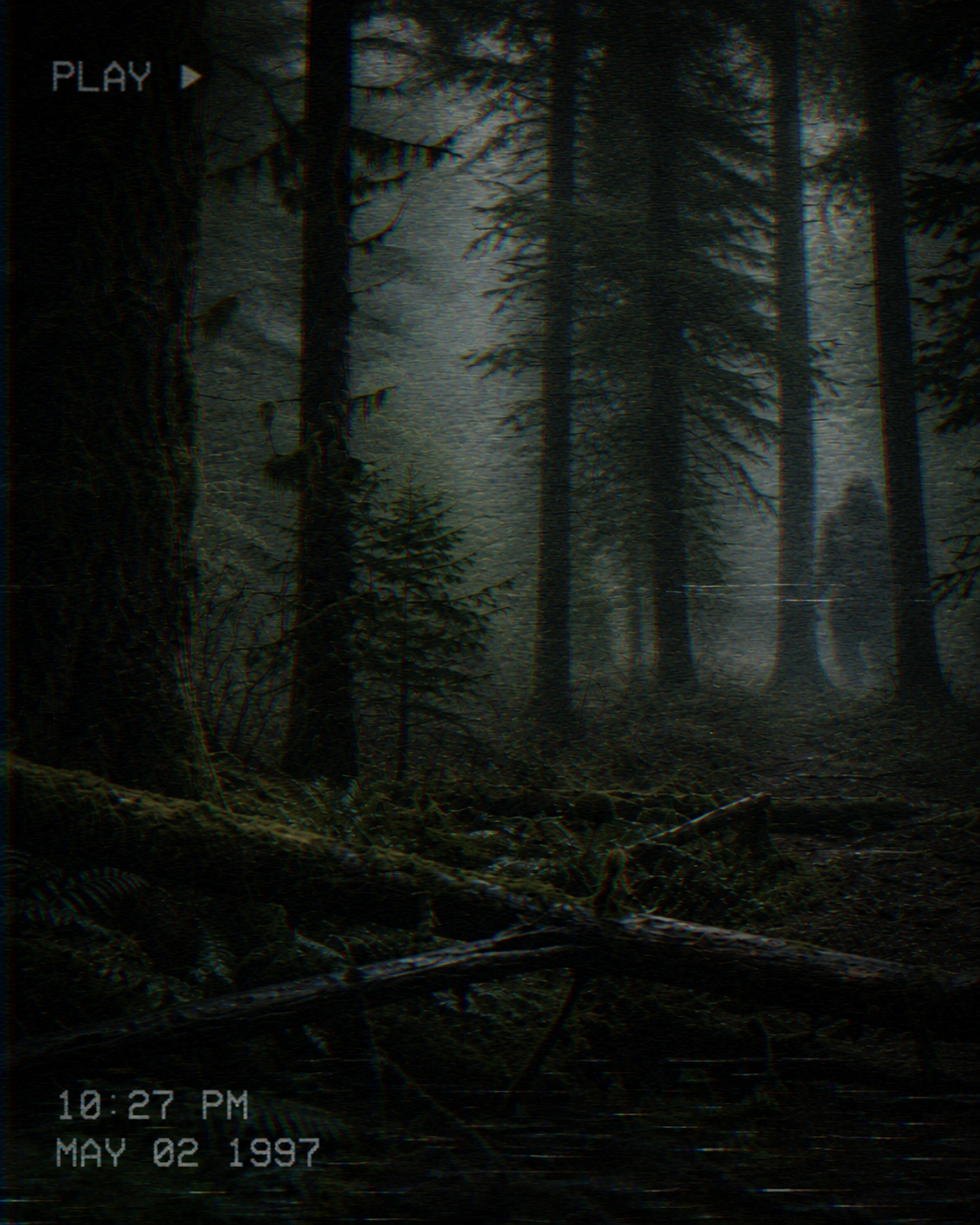 An atmospheric forest image styled as archival Bigfoot evidence