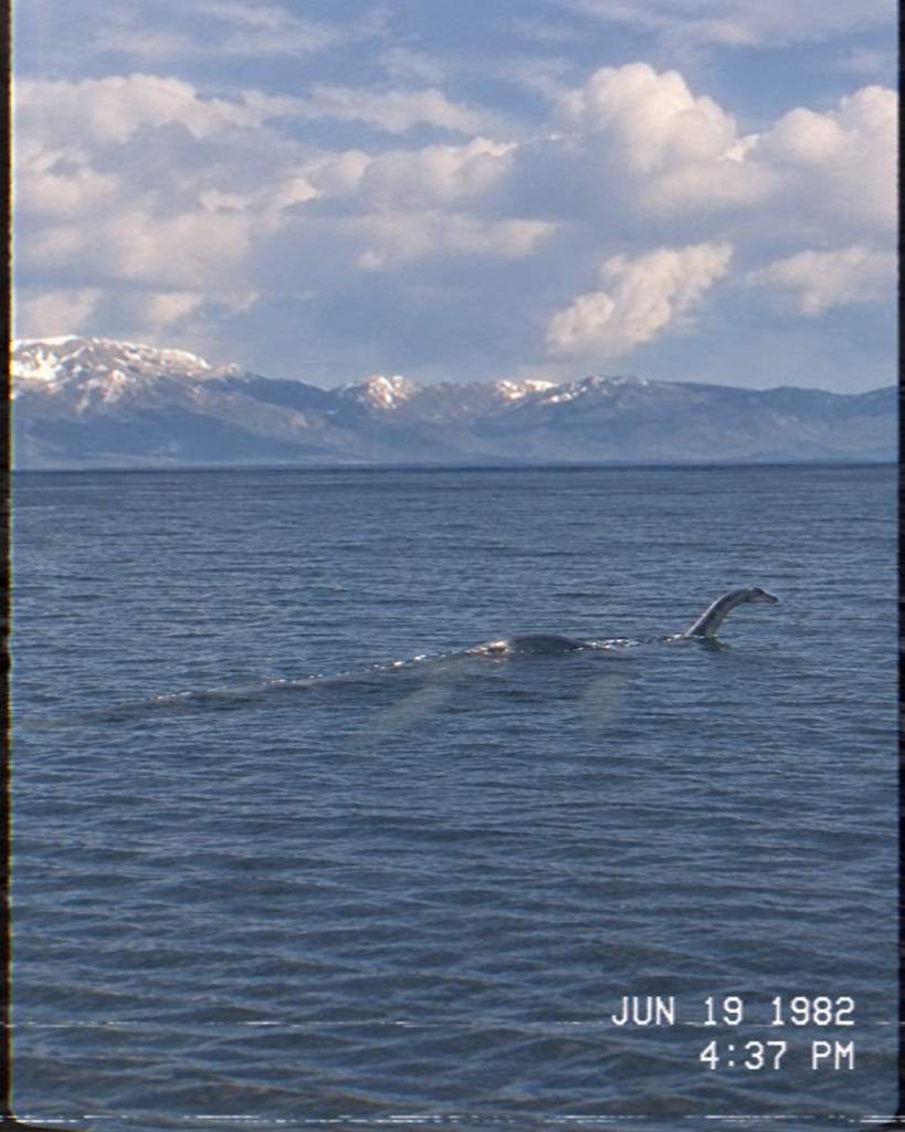 Tahoe Tessie sighting
